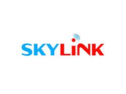 Логотип SkyLink