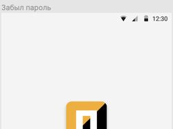 Мобильное приложение Пластер