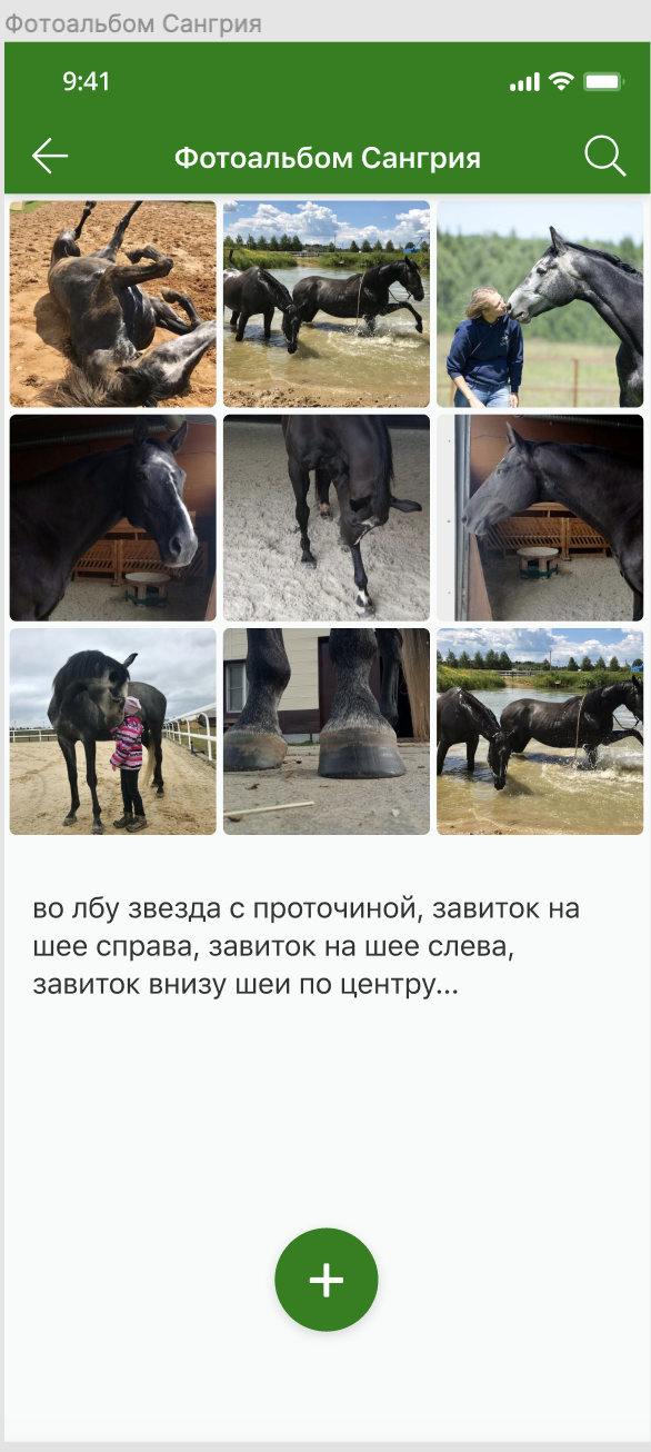 2020-03-26_11-43-20.png