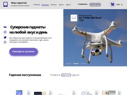 Интернет-магазин "Мир гаджетов".