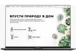 Веб-дизайн Интернет магазина комнатных растений