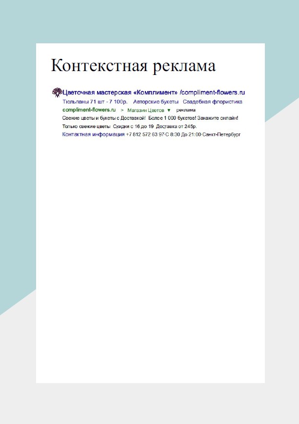 Портфолио17.jpg