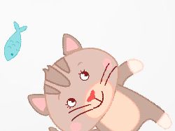 Cat Jump