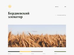 Website for Grain Elevator