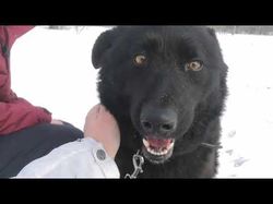 Легкий видеомонтаж