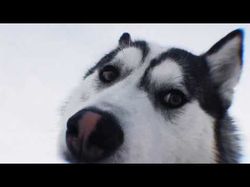 Легкий видеомонтаж