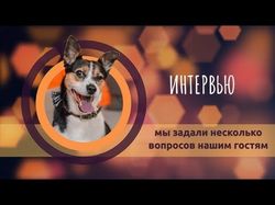 Монтаж видео