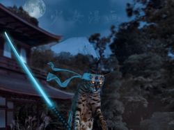 Художественная обработка в фотошоп