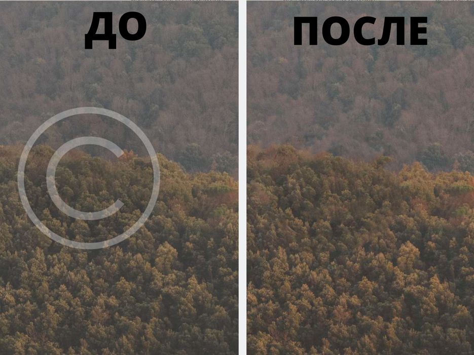 ДО, копияпосле дерево.png