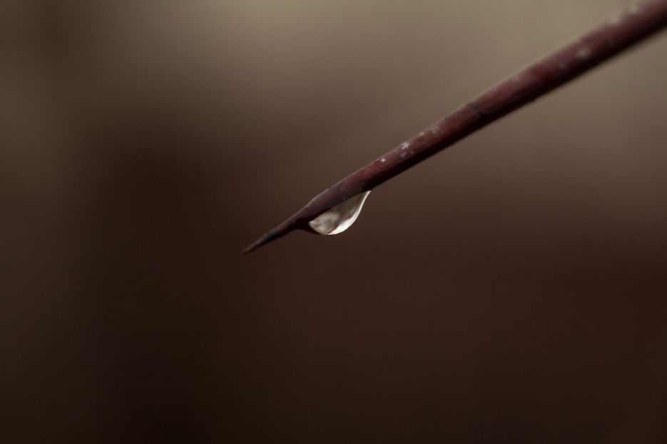 _MG_7877.jpg