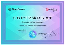Сертификат "Основы программирования"