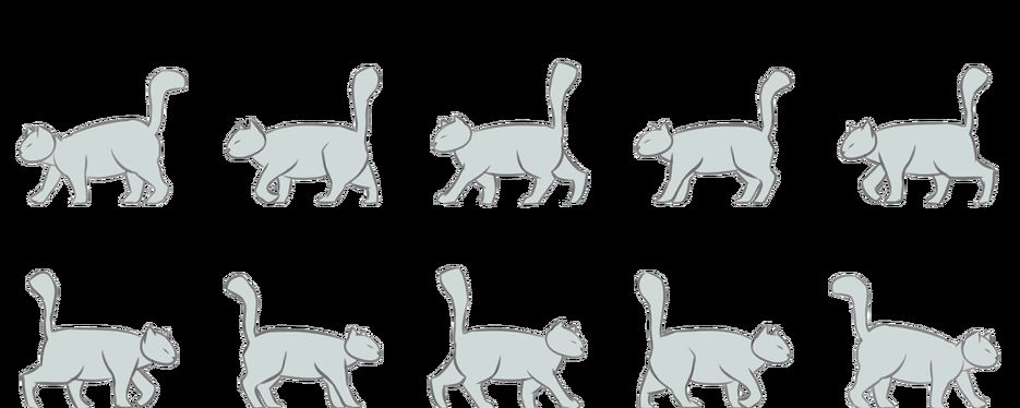 catWalk.png