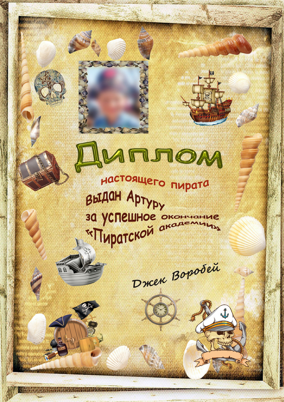 Диплом пирата для портфолио.jpg