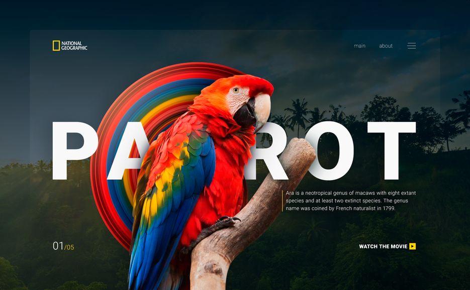 PARROT_concept.png