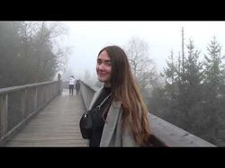 Отчёт о поездке