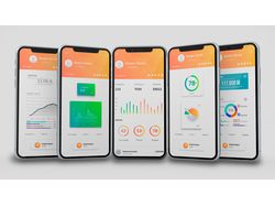 Дизайн приложения INVESTFOX