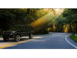 g class
