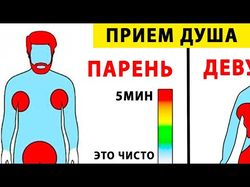 Монтаж для ютуб канала youfact
