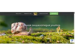 Наполнение статьями, полное редактирование текста