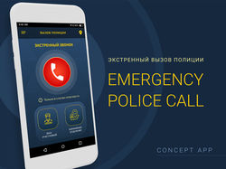Мобильное приложение экстренного вызова полиции