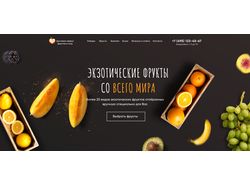 Дизайн сайта по доставке экзотических фруктов