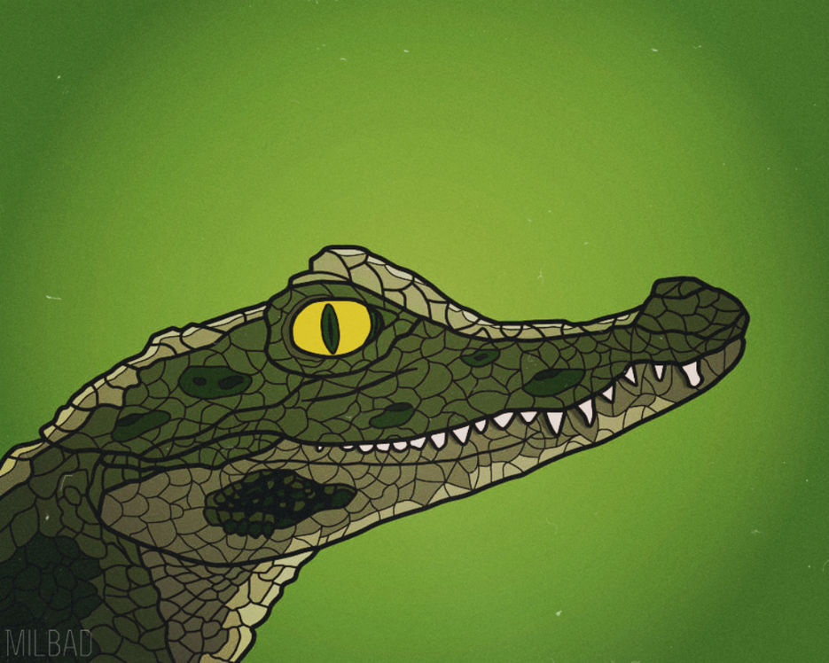 crocodile 1.jpg