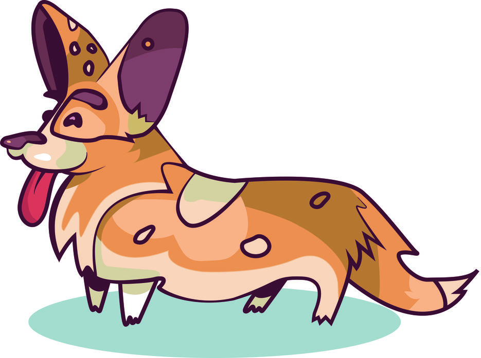 corgi.jpg