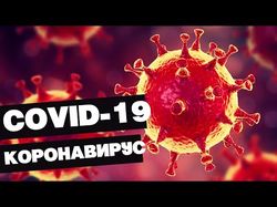 COVID-19 | коронавирус