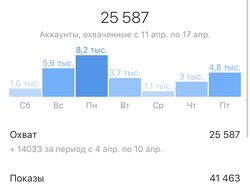 Менеджер блогера / ассистент