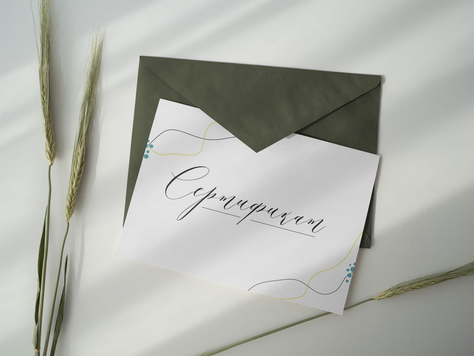 Post Card Mockup.jpg