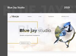 Website for Blue jay studio