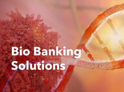 Разработка сайта для Bio Banking Solution