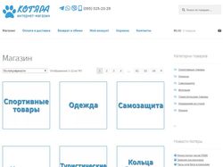 Продвижение интернет-магазина "Котяра"