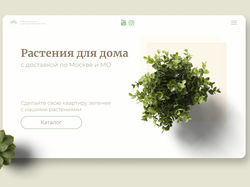 Дизайн для сайта домашних растений