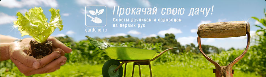 Всё для дачника.jpg