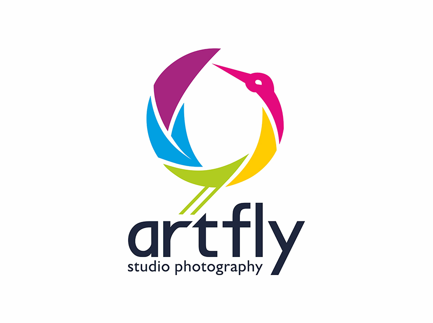 ARTFLY3.jpg