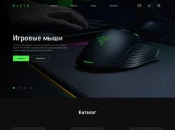 Landing Page - RAZER (concept)