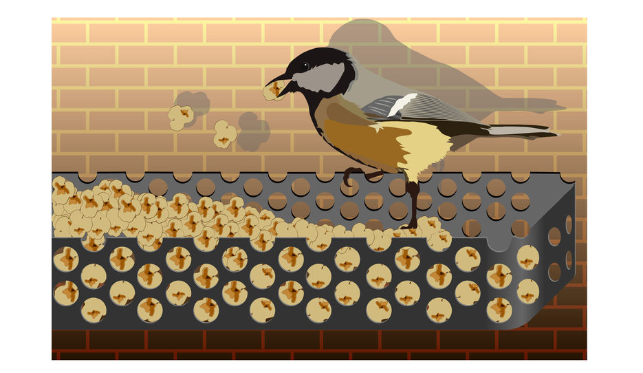 Tit eats popcorn from a feeder on a brick wall background [преобразованный].jpg