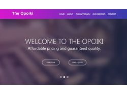 Бизнес сайт для информирования