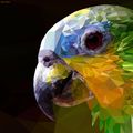 dmitry_starkov