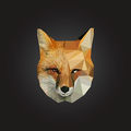 FoXaNeX
