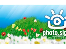 Photosight.us (Header for Spring)