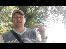 Видео и аудио монтаж ролика 26В "Мексиканец"?