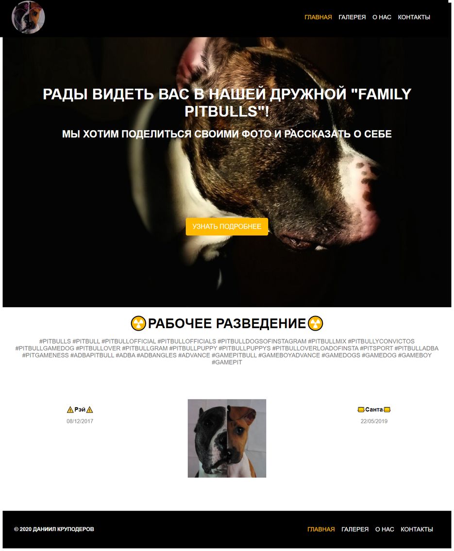 screencapture-daniil-krupoderov-github-io-family-pitbulls-index-html-2020-06-09-22_05_33.png