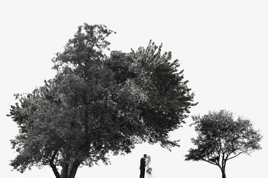 1 (94).jpg