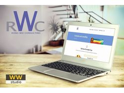RongWeiConsulting