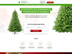 Адаптивная вёрстка лендинга