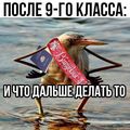Sosi6