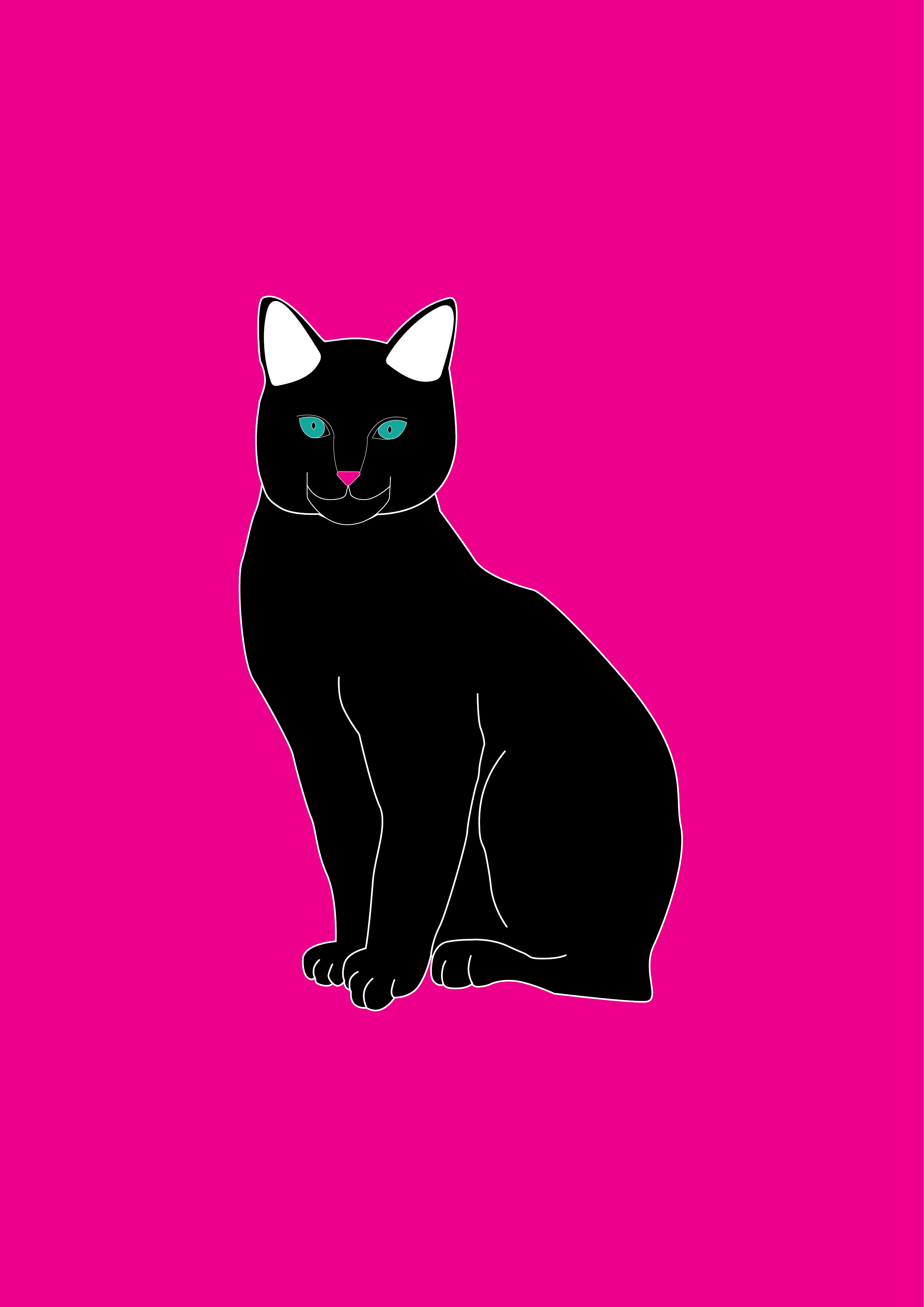 The Cat