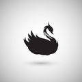 MrSwan